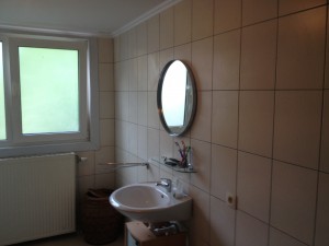 Van de renovatie van badkamers tot en met het plaatsen van sanitaire toestellen